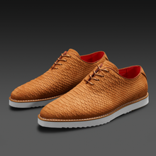 Load image into Gallery viewer, The Wager - TAYNO